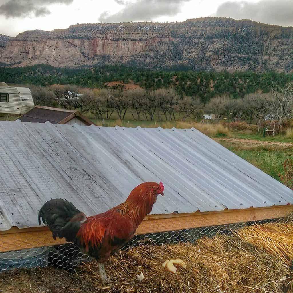 Η επίσημη θεμελίωση του σπιτιού
