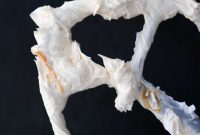 Velvety Caramel Swiss Meringue Buttercream