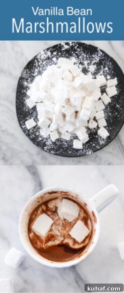Soft and airy homemade vanilla bean marshmallows ready for serving or topping desserts