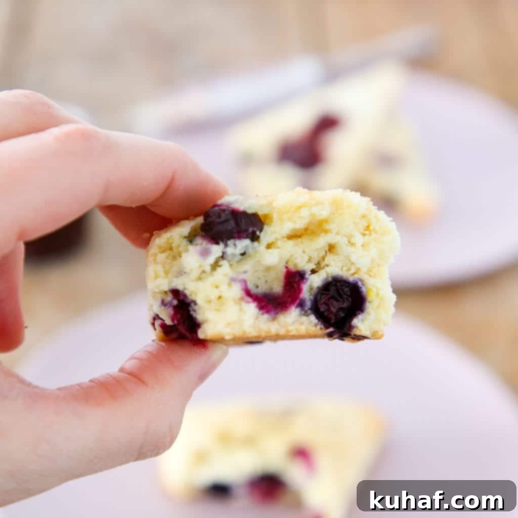 Beautifully baked blueberry scones arranged on a cooling rack, glistening with turbinado sugar.