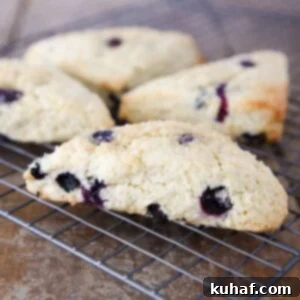 Blueberry Lemon Scones on cooling rack