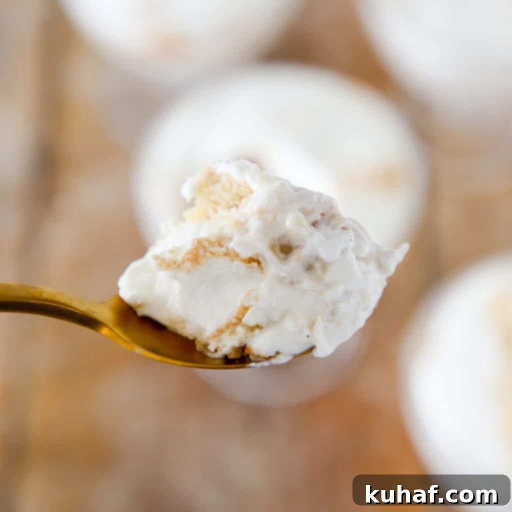 Banana pudding on a spoon.