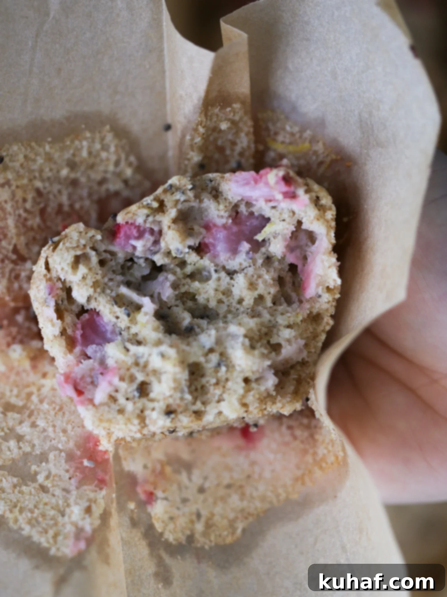 Delicious Strawberry Muffins 12 A freshly baked strawberry whole wheat muffin, still in its brown tulip liner, held in a hand, showcasing its perfect texture and visible strawberry pieces.