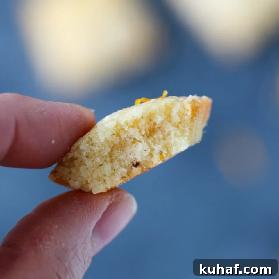 Orange Financiers