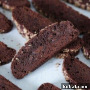 The best Double Chocolate Biscotti, one piece ready for dipping.
