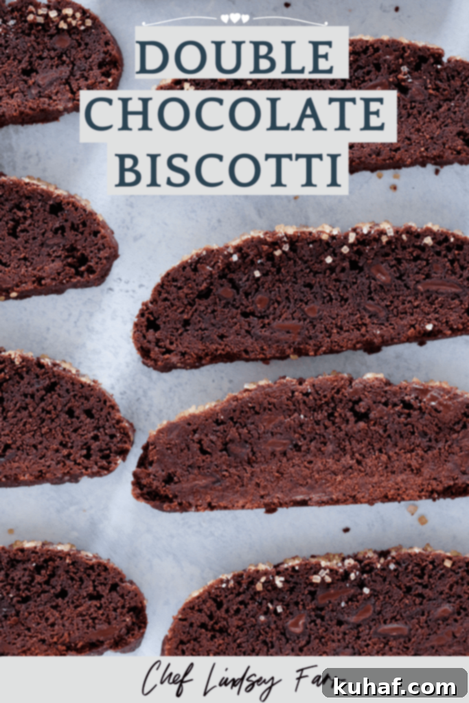Close-up of a double chocolate biscotti showing the texture and chocolate chips.