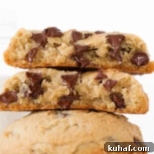Chewy Chocolate Chip Cookies interior detail