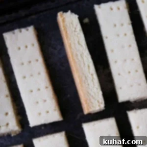 Scottish shortbread with fork holes poked in the surface.