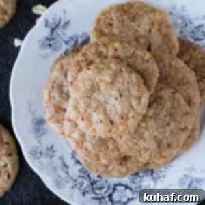 Oat Lace Cookies Gorgeous Overhead