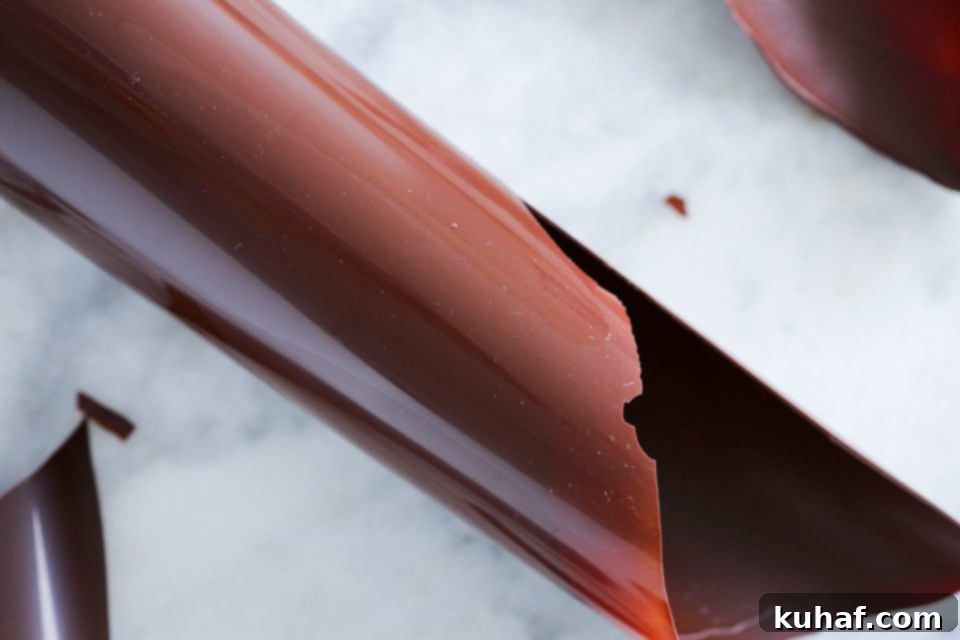 How to Temper Dark Chocolate - Image 6