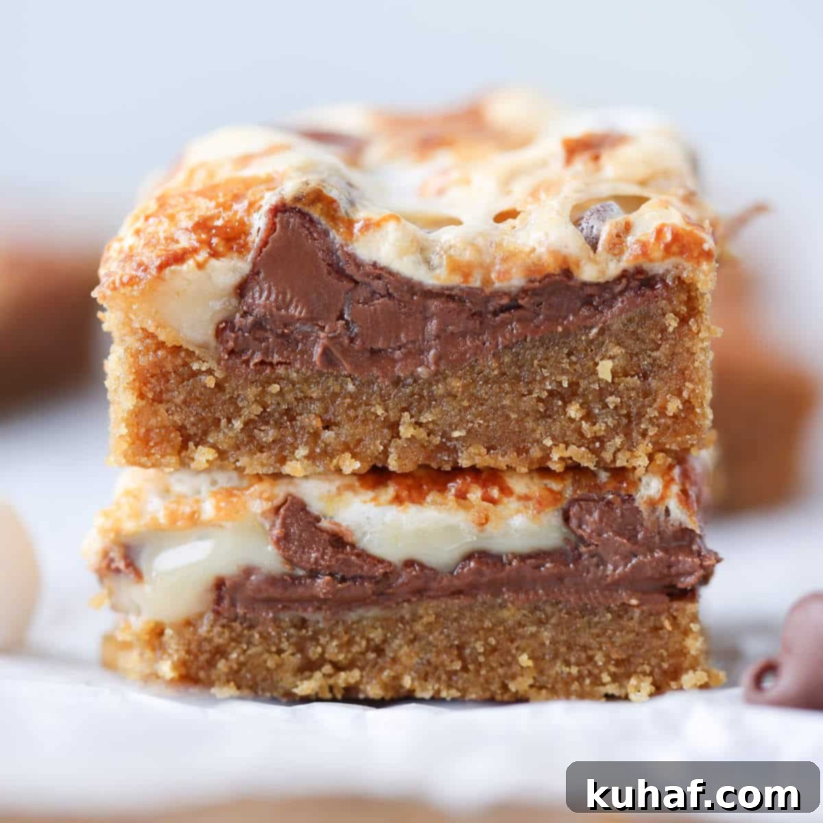 Ooey Gooey Smores Bars interior detail