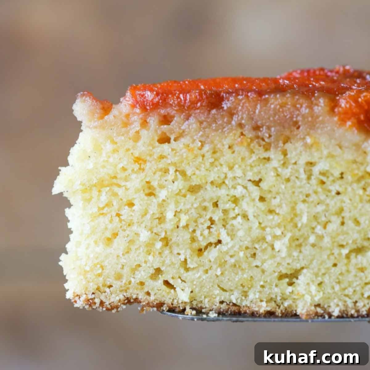 soft cake texture viewed in cake slice.