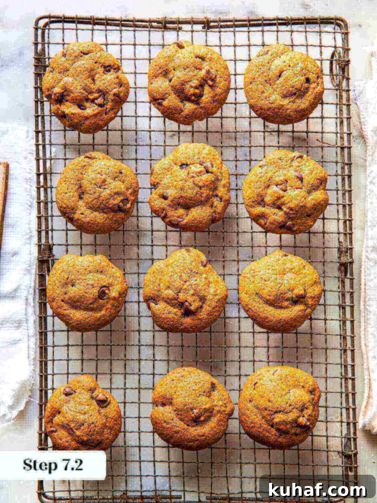 Spiced Pumpkin Chocolate Delights 10 Freshly baked pumpkin chocolate chip cookies cooling on a wire rack, un-iced.