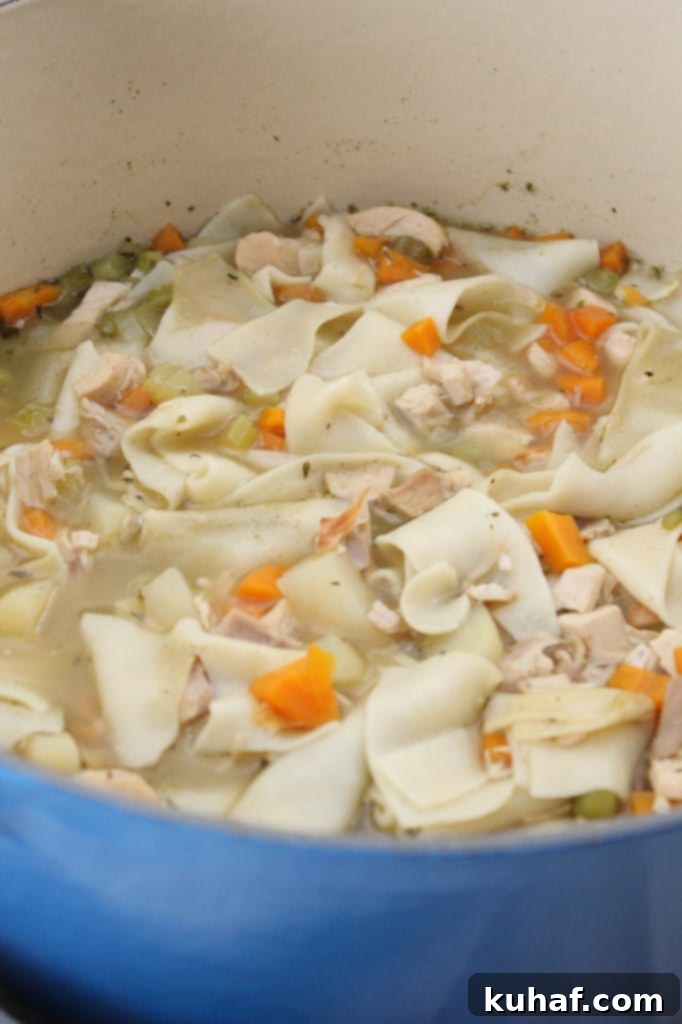 Soul-Warming Chicken Noodle Soup 6 Homemade Chicken Noodle Soup