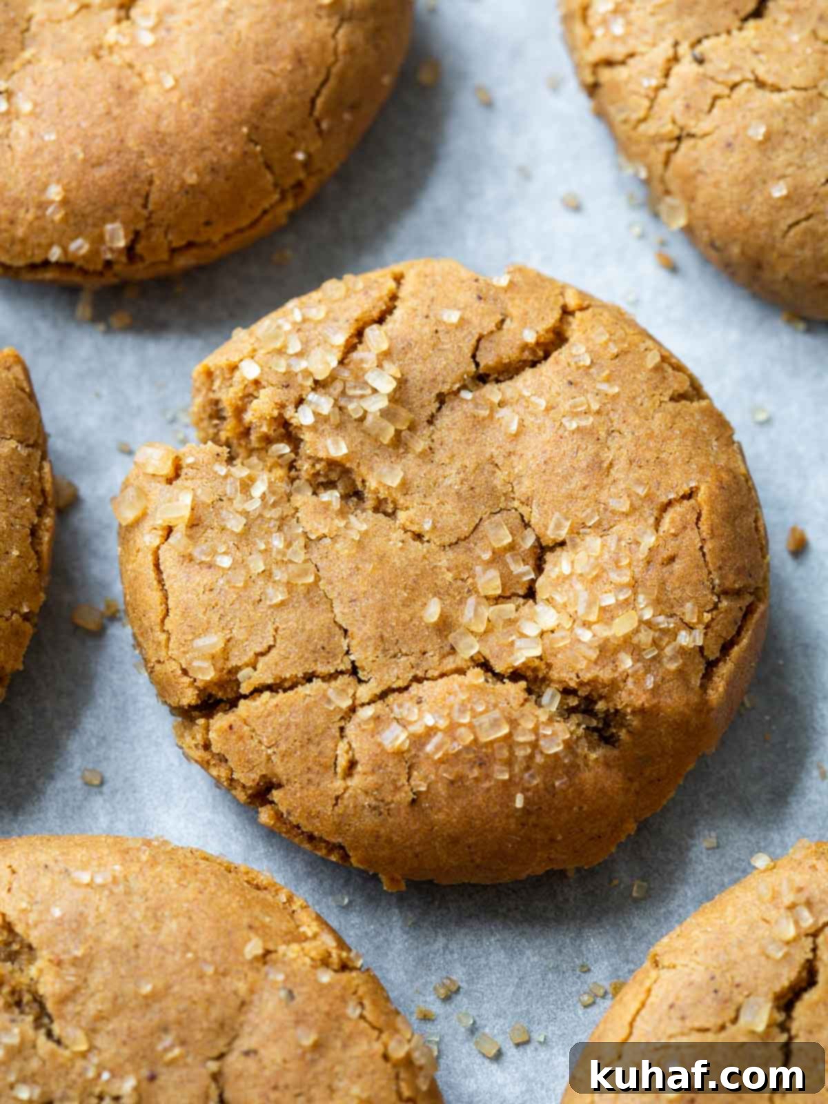 molasses spice cookie closeup.