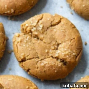 sparkling spice cookie.