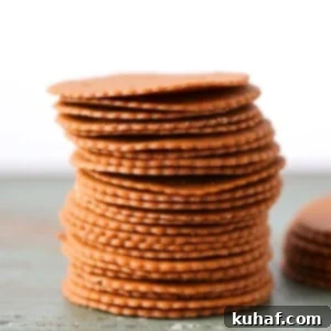 Moravian Christmas Cookies - Featured Image