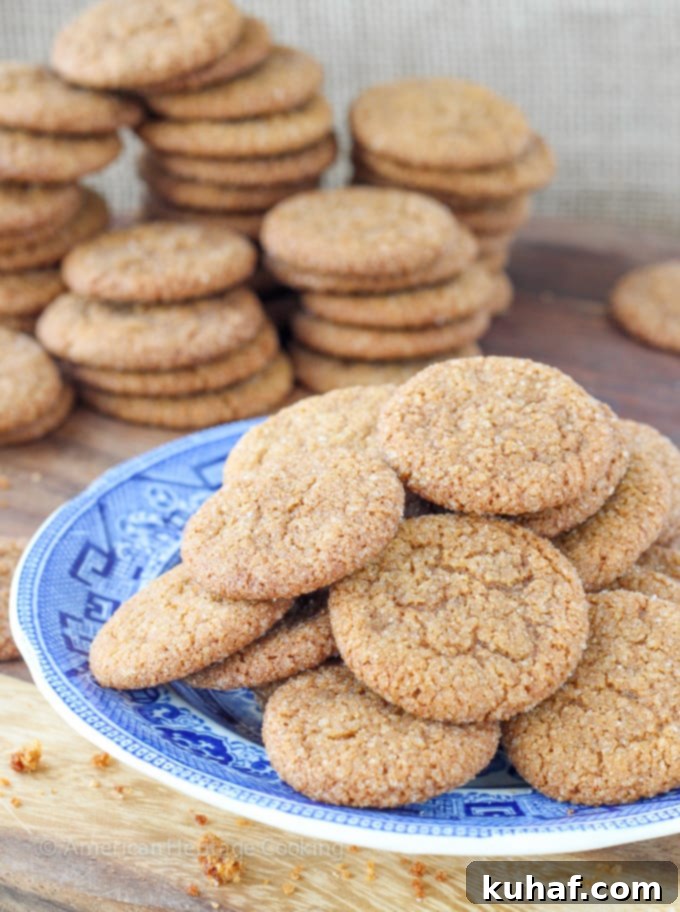 These old fashioned gingersnaps have all the flavors and snappiness of their store-bought counterparts! And they are EASY! Gingersnaps in the jar in 45 minutes! 
