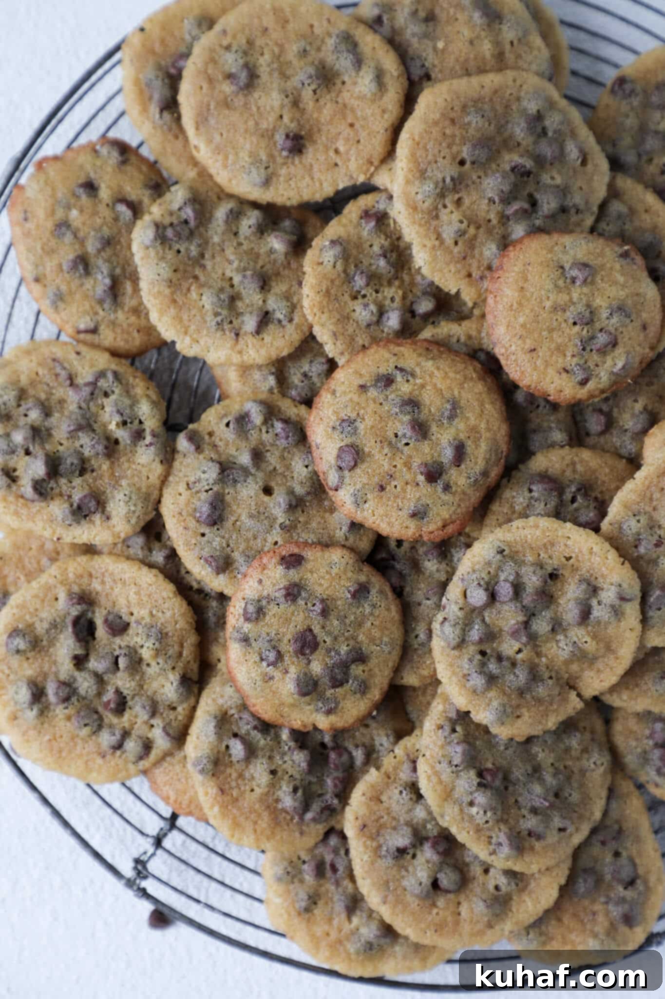 Piled high Mini Chocolate Chip Cookies with visible coarse sea salt on a rustic cooling rack, inviting a bite.