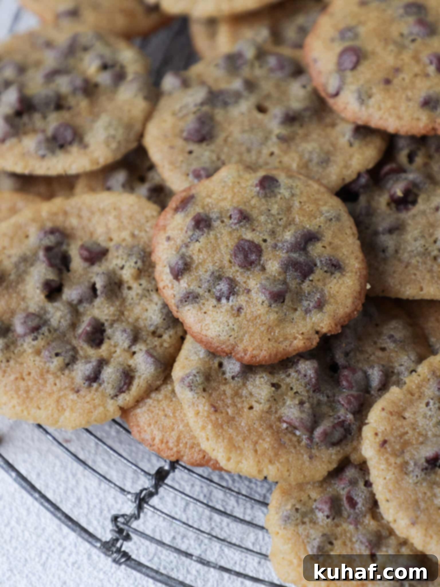Close-up detail of a perfectly baked Mini Chocolate Chip Cookie, showcasing its soft center and crispy edges.