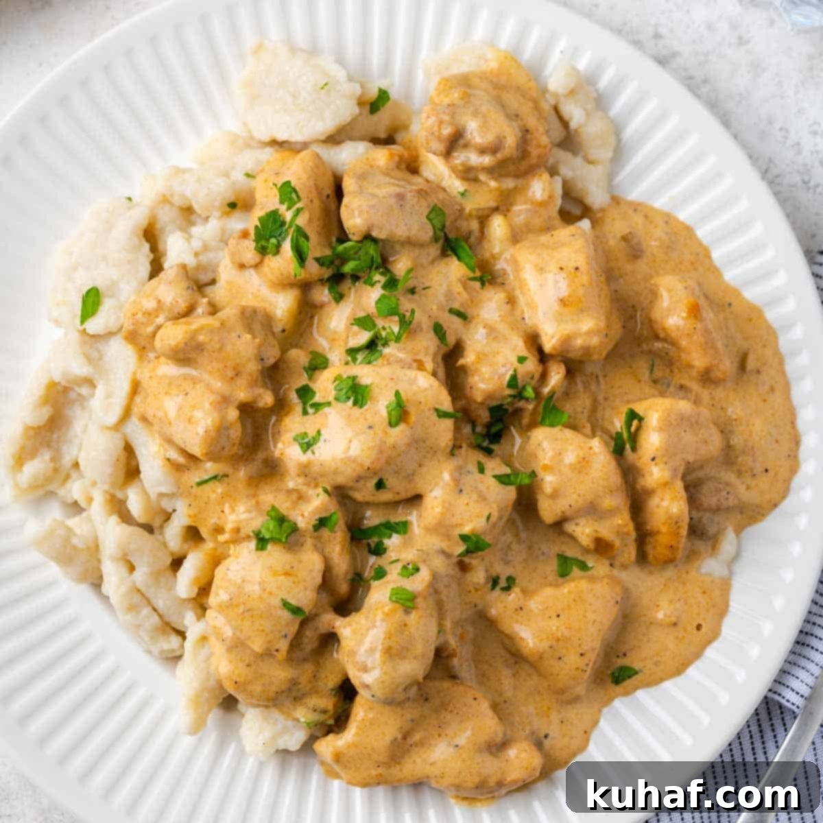 A perfectly plated serving of Hungarian Chicken Paprikash with creamy sauce, tender chicken, and homemade spaetzle on a white dish, garnished with parsley.