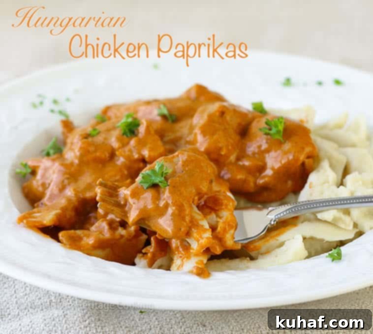Hungarian Chicken Paprikas served in a bowl, showcasing the rich sauce and tender chicken.