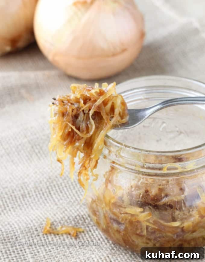 A close-up of deeply caramelized onions, rich brown and glossy, showing the result of patient cooking.