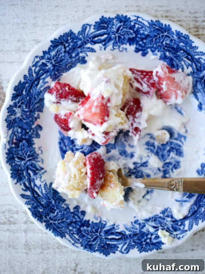Strawberry Shortcake Solo 18 Strawberry Shortcake for Two on a messy plate, showing a delightful cross-section of the dessert.
