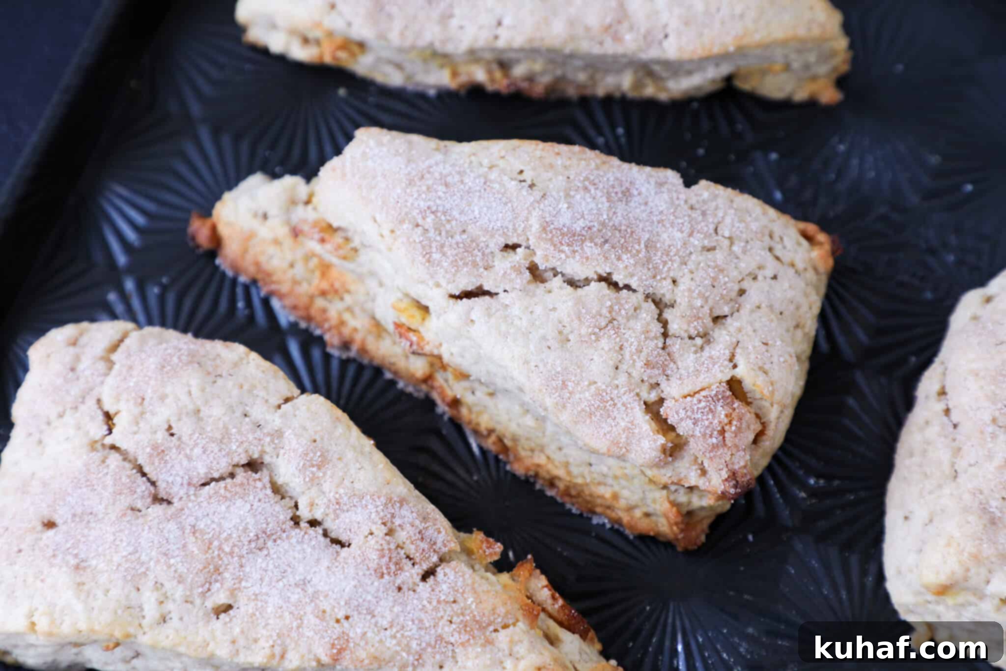 Warm Spiced Apple Scones 6 Three golden brown spiced apple scones arranged on a white plate, showcasing their perfect bake.