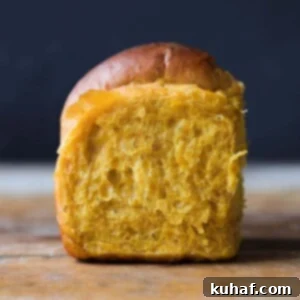 Warm Pumpkin Spice Dinner Rolls 7 Pumpkin Spice Dinner Rolls Perfect Bun