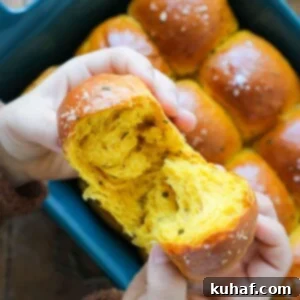 Savory Pumpkin Herb Buns 7 Pumpkin Herb Dinner Rolls Perfect Texture