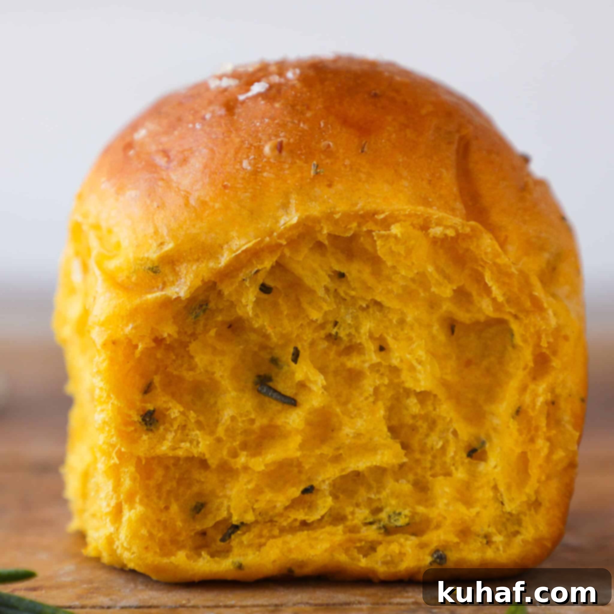Savory Pumpkin Herb Buns 3 Pumpkin Herb Dinner Rolls Crumb