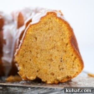 Pumpkin Spice Bundt Cake Stunning Crumb - showing its moist texture.