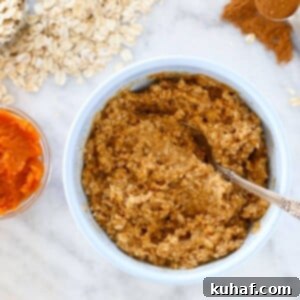 Pumpkin Spice Oatmeal best pumpkin recipes for fall - served in a bowl.