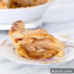 A delectable slice of Cinnamon Apple Pie, exquisitely presented on a plate with delicate floral details, showcasing its inviting texture.