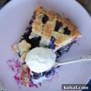 A mouth-watering slice of blueberry pie featuring a perfectly golden lattice top, artfully garnished with a scoop of creamy vanilla ice cream, promising a delicious taste experience.