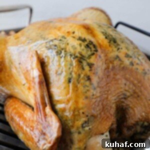 Roasted Herb Turkey Perfect Roasting