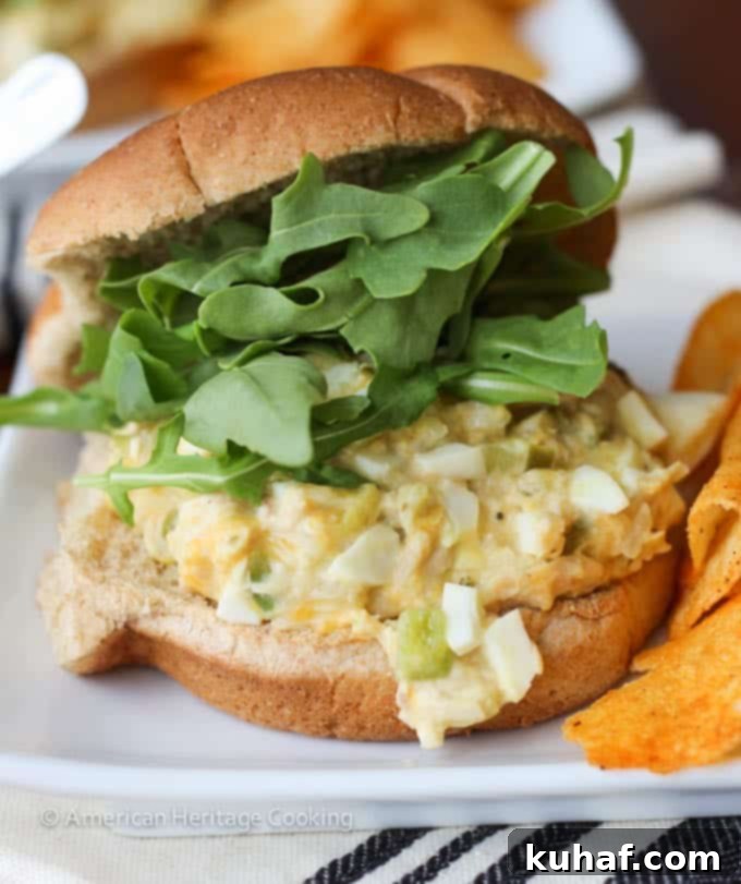 A delicious tuna melt sandwich with crunchy BBQ chips on the side, ready to be enjoyed.
