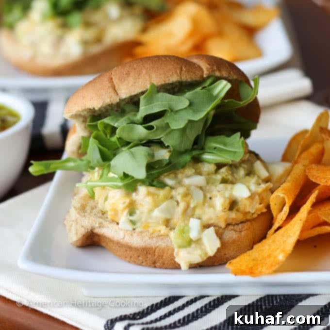 Two golden-brown tuna melt sandwiches plated with a sprig of fresh herbs, showcasing the perfectly melted cheese.