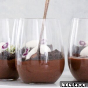 Quick Chocolate Treats 10 Dark Chocolate Pudding in glass with whipped cream and spoon.