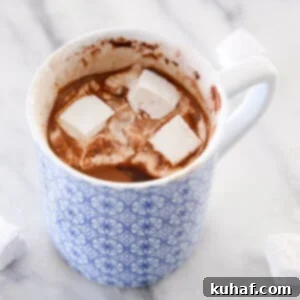 Quick Chocolate Treats 12 DIY Hot Cocoa Mix in blue mug with marshmallows