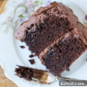 Quick Chocolate Treats 13 One bowl chocolate cake slice on plate