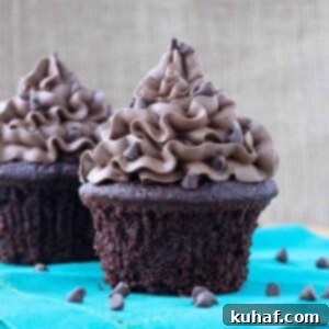 Quick Chocolate Treats 18 chocolate cupcake with chocolate frosting.