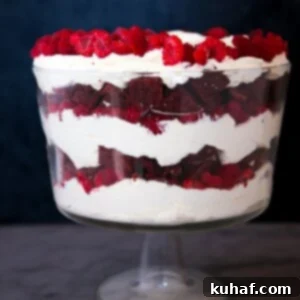 Romantic Valentine's Desserts 21 Red Velvet Raspberry Trifle from the front, square image.