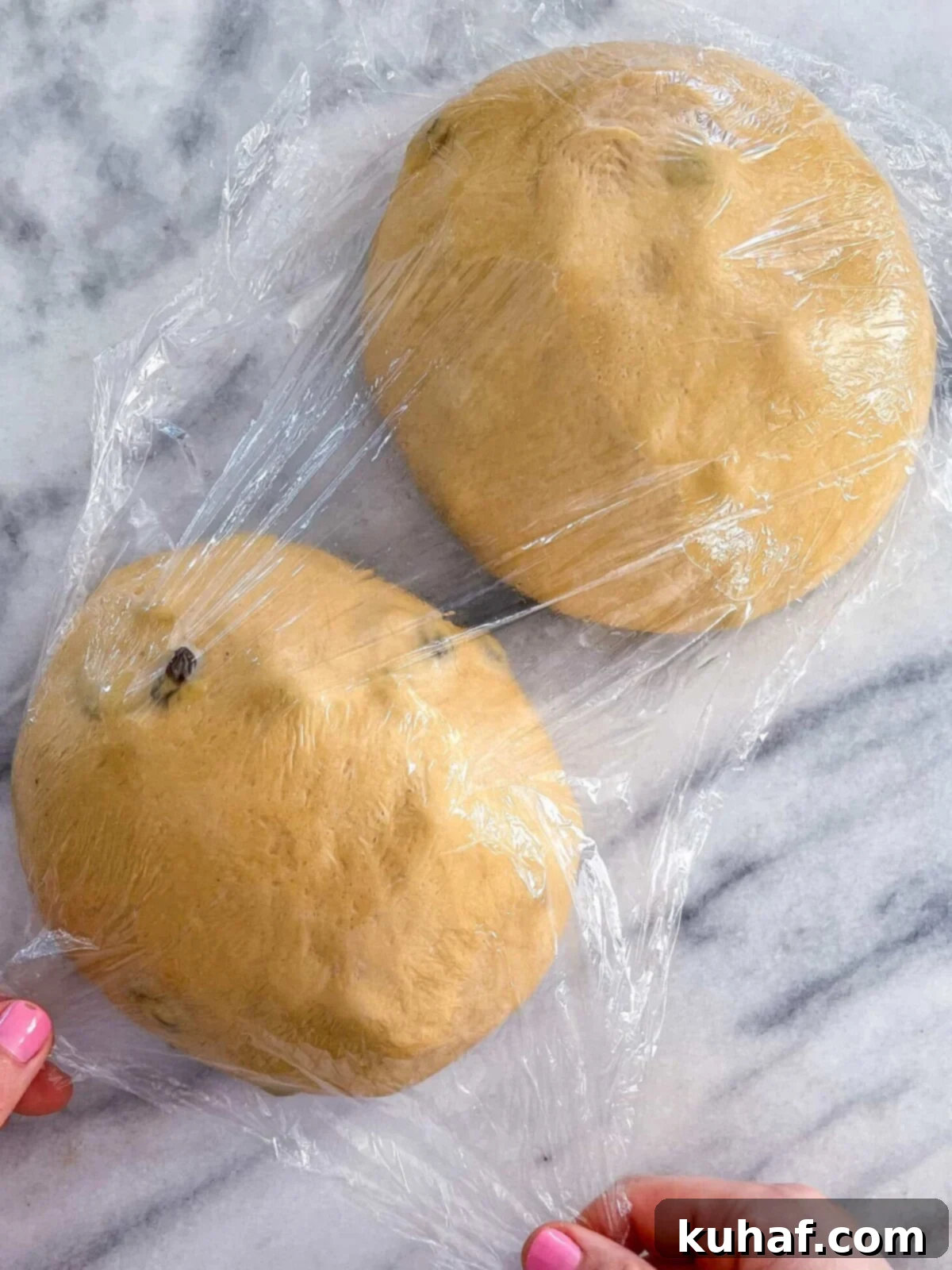 Old Fashioned Raisin Bread Dough shaped on marble.