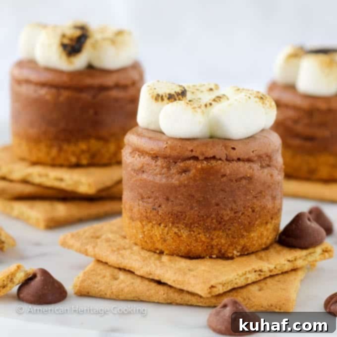 A batch of Mini Smores Milk Chocolate Cheesecakes cooling in a pan
