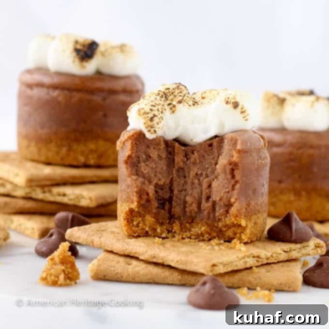 Mini Smores Milk Chocolate Cheesecakes artfully arranged on a serving plate