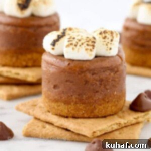 Mini Smores Milk Chocolate Cheesecakes