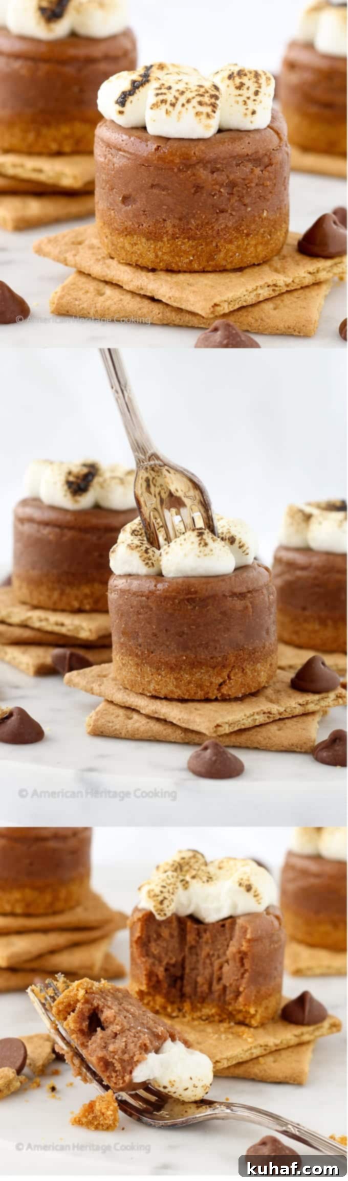 A final shot of a perfectly toasted Mini Smores Milk Chocolate Cheesecake