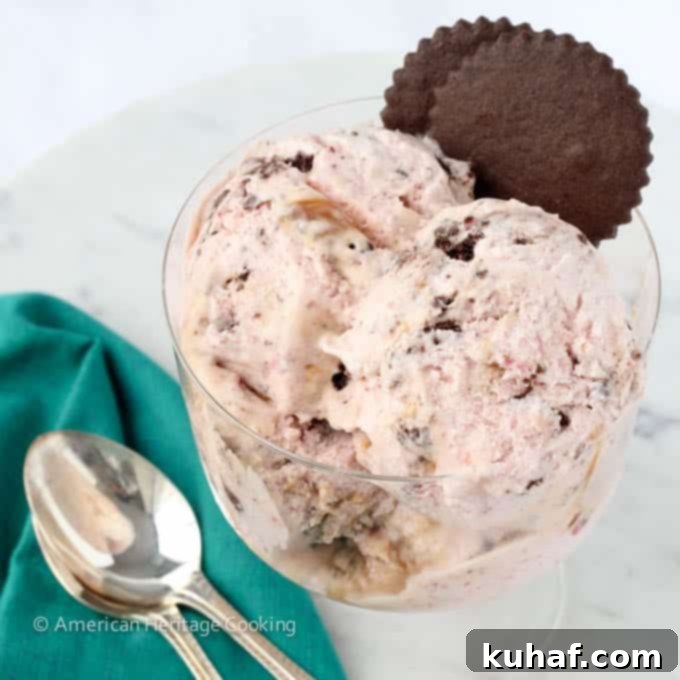 Chocolate Cookie Strawberry Caramel Swirl Ice Cream 4 Strawberry Caramel Swirl Chocolate Cookie Ice Cream